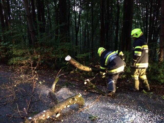 Verkehrsunfall mit vermutlich eingeklemmter Person in Schwarten