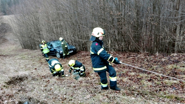 Baumbergung in Kohldorf