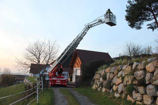 Baumbergung in Kohldorf