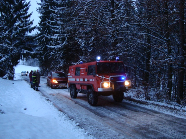 Baumbergung in Kohldorf