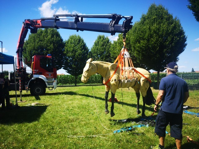 Animal Rescue Day des BFV Graz-Umgebung