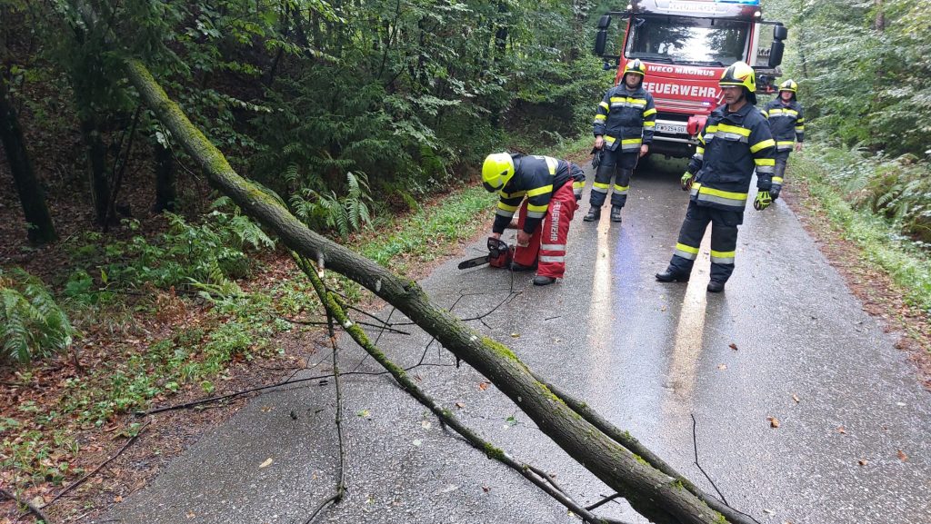 Verkehrsunfall mit vermutlich eingeklemmter Person in Schwarten