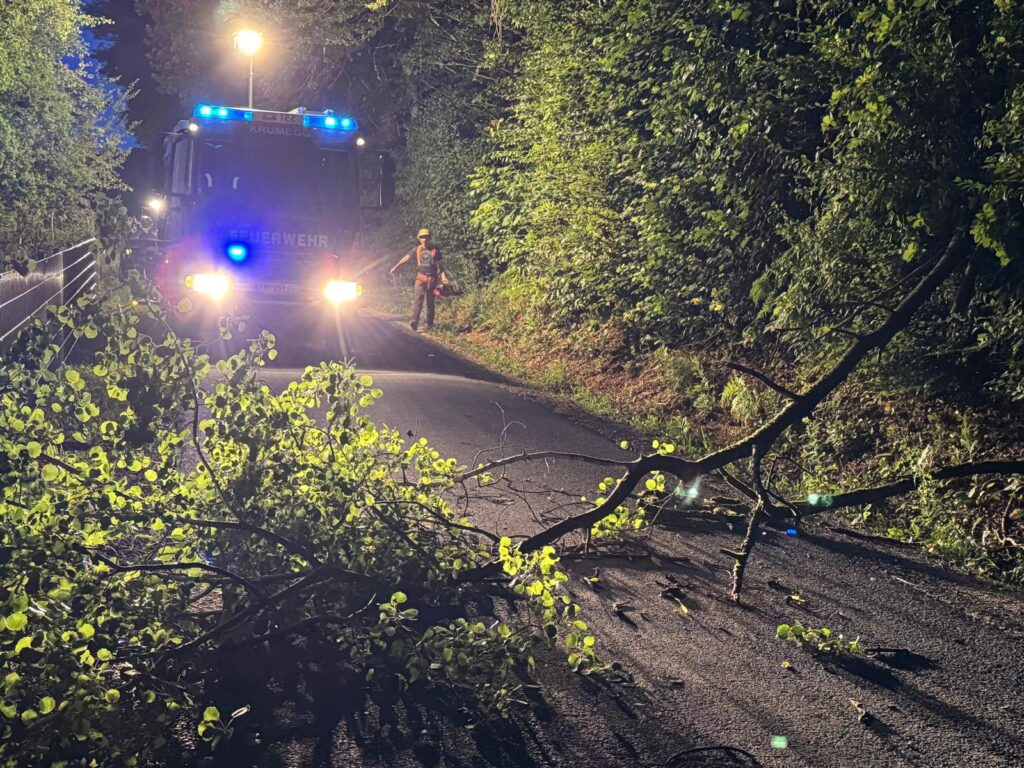 Baumberung in Hohenegg