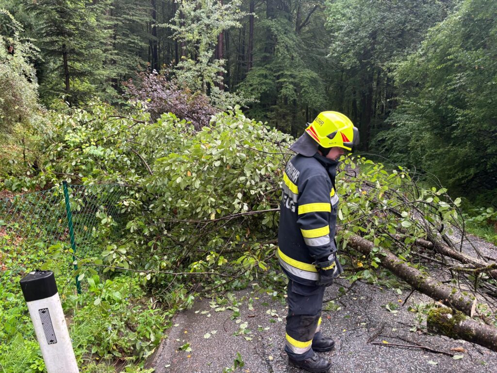 Baumbergung in Prüfing