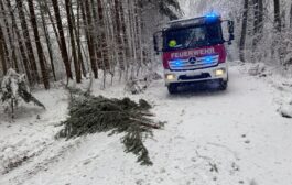 Aufräumarbeiten nach Wintereinbruch