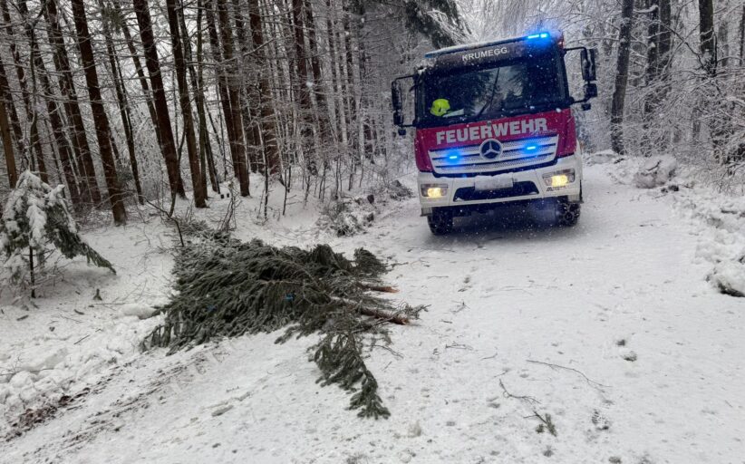 Aufräumarbeiten nach Wintereinbruch