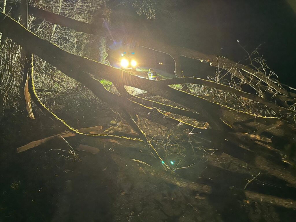 Baumbergung in Kocheregg